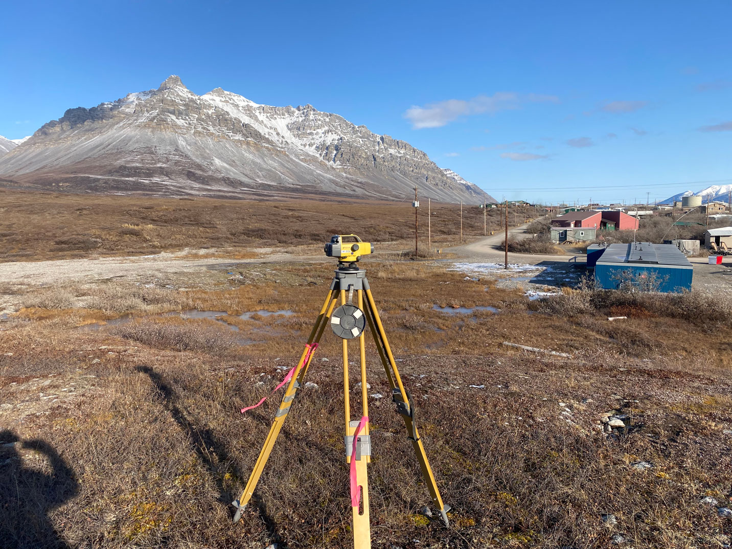 Blue Arrow Survey Project