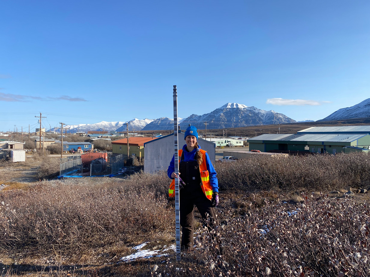 Blue Arrow Survey Project