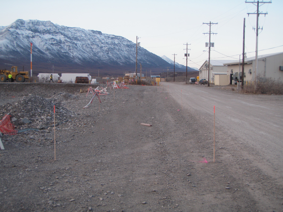 Blue Arrow Survey Project