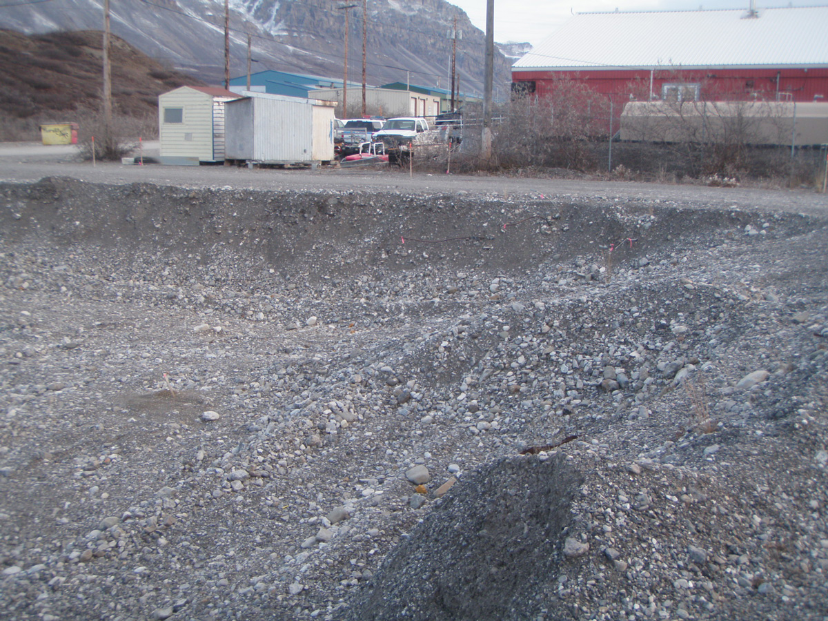 Blue Arrow Survey Project