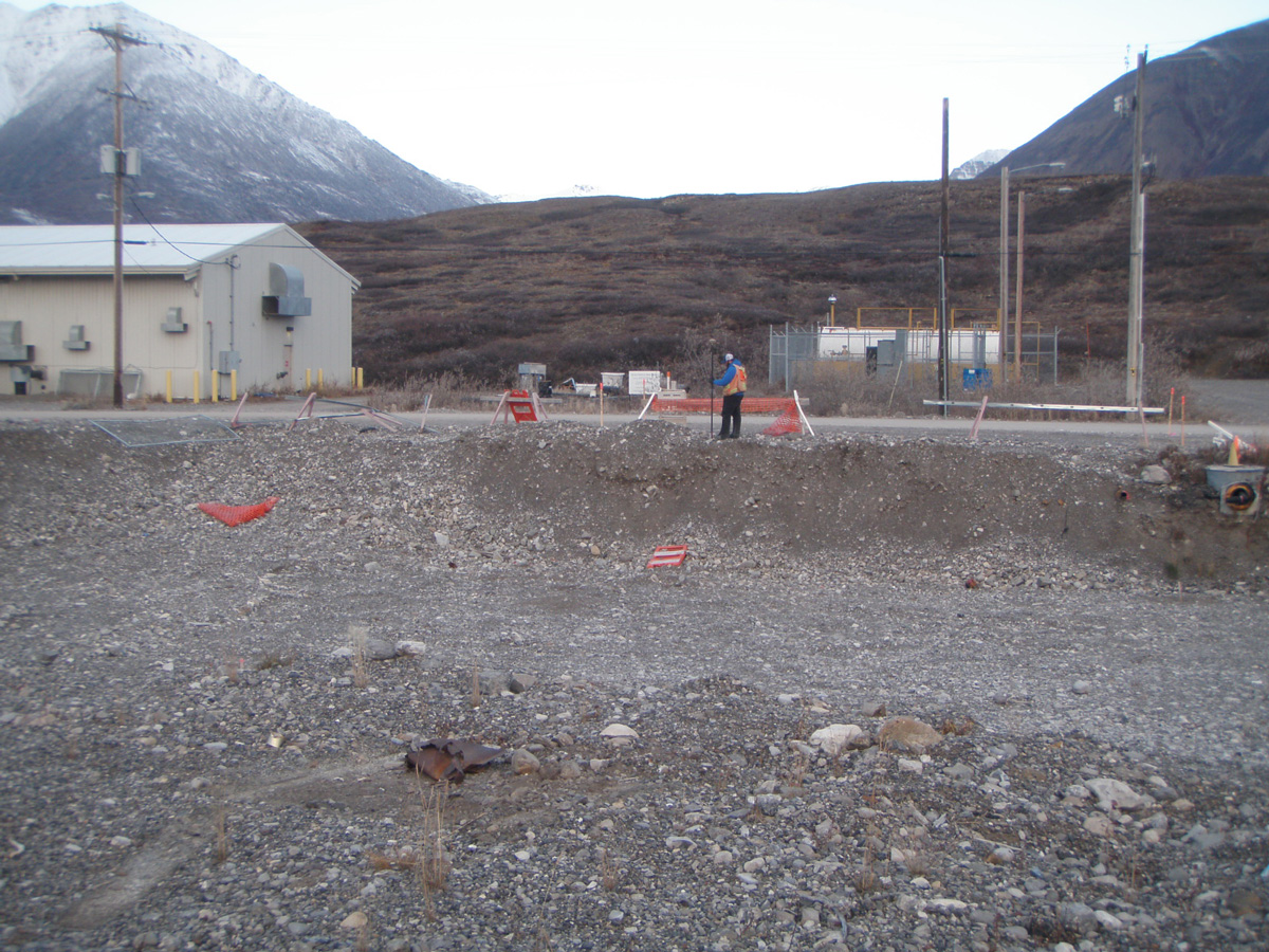 Blue Arrow Survey Project