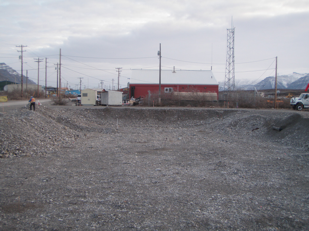 Blue Arrow Survey Project