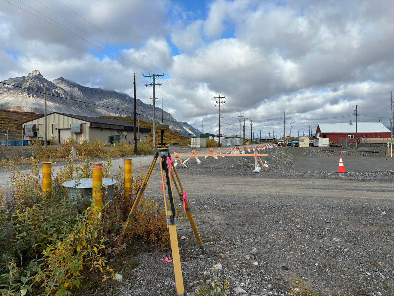 Blue Arrow Survey Project